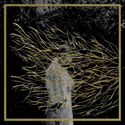 Engravings (2025 Limited Edition)