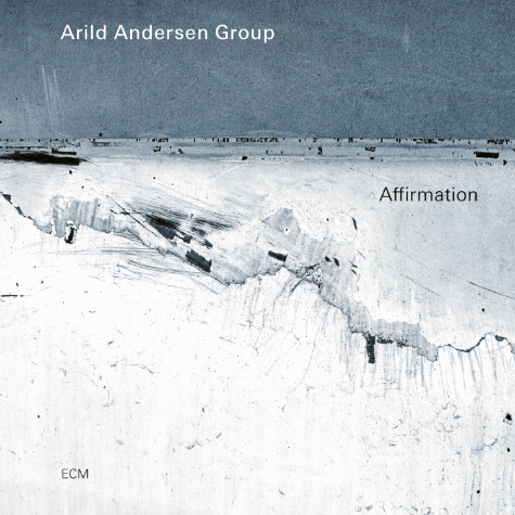 Arild Andersen Group, Affirmation