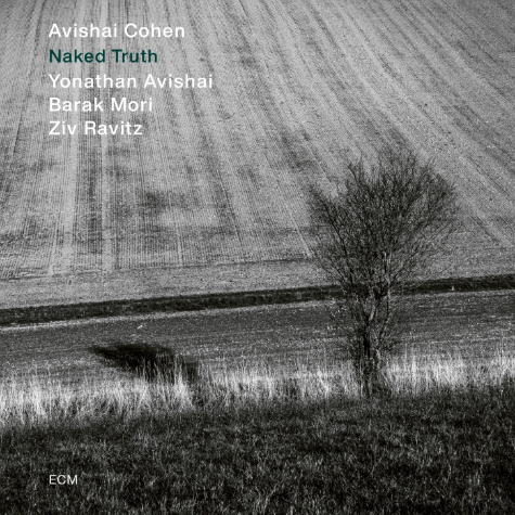 Avishai Cohen, Naked Truth