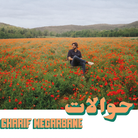 Charif Megarbane, Hawalat