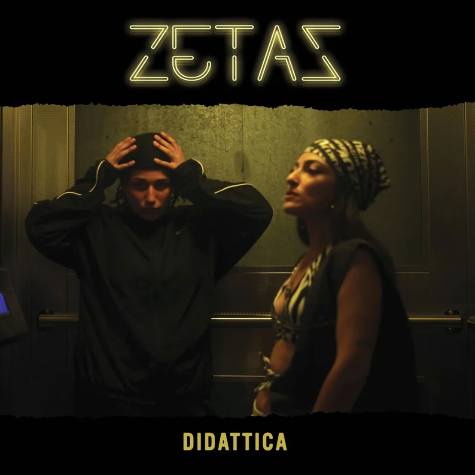 Didattica, Zetas