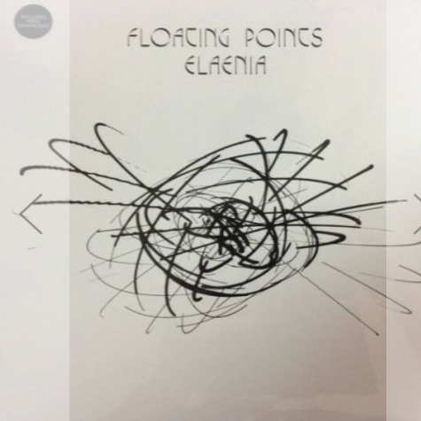 Elaenia, Floating Points