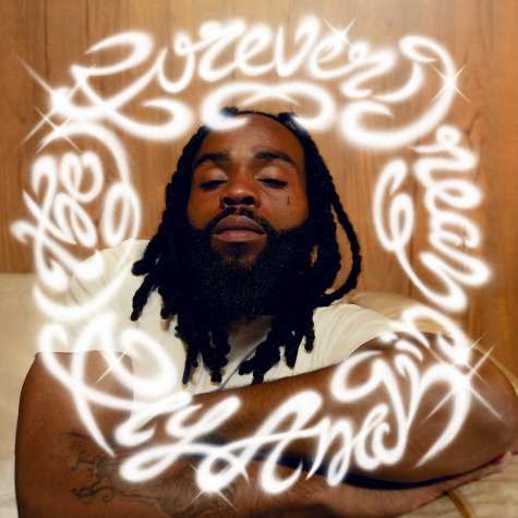 Fly Anakin, The Forever Dream