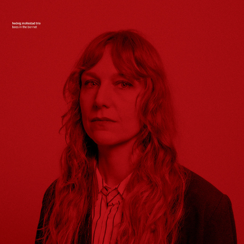 Hedvig Mollestad trio, bees in the Bonnet
