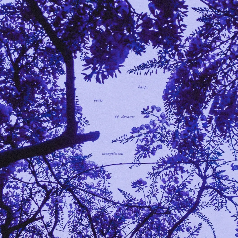 Marysia Osu, Harps, Beats and Dreams