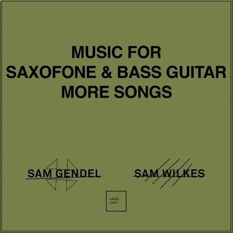 Music For Saxofone And Bass Guitar More Songs, Sam Gendel and Sam Wilkes