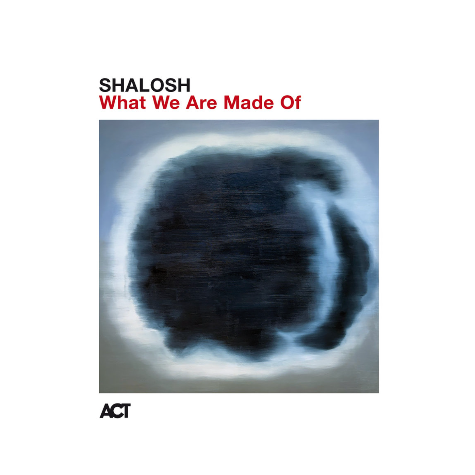 Shalosh_What we are made of
