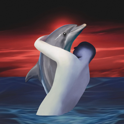 Sinus Amoris (Songs From The Bay Of Love), Jimi Tenor & Freestyle Man