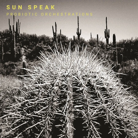 Sun Speak_Probiotic Orchestrations