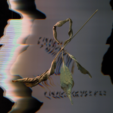 T. Gowdy, Trill Scan