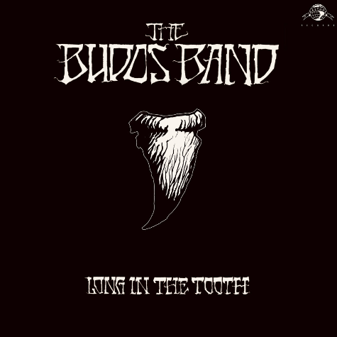 The Budos Band, Long In The Tooth