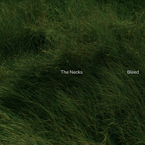 The Necks, Bleed