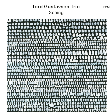 Tord Gustavsen Trio, Seeing