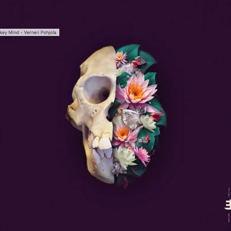 Verneri Pohjola, Monkey Mind