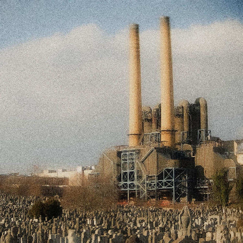 Grave New World