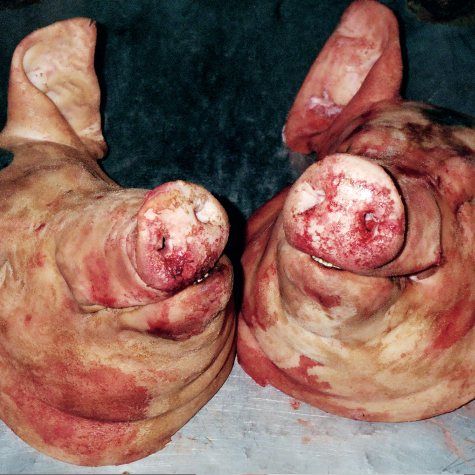 Armand Hammer & The Alchemist Haram