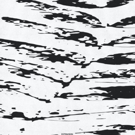 Guy Blakeslee, Extravision