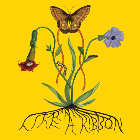 John Glacier, Like a Ribbon