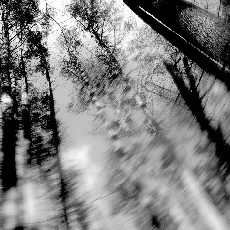 Loess, Totems