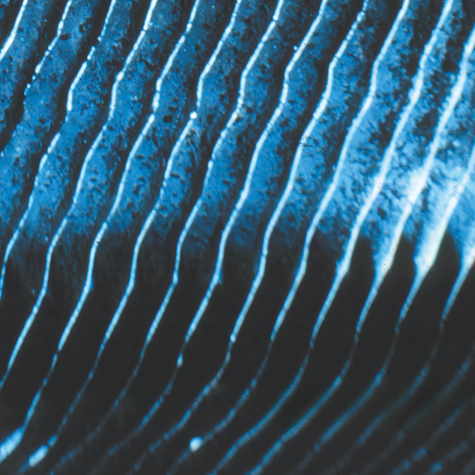 Monolake, Gravity