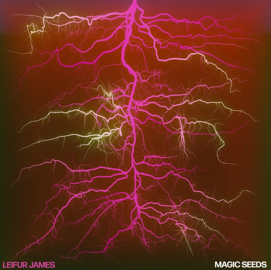 Magic Seeds