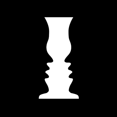 The Sensory Illusions Vol.1