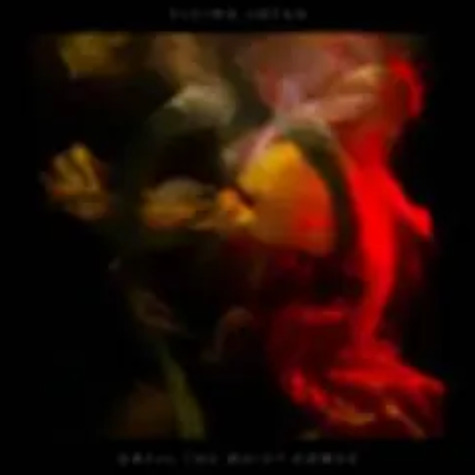 Until The Quiet Comes, Flying Lotus