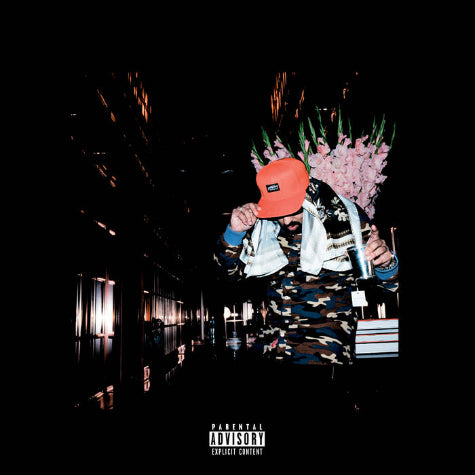 No Vi$ible Means Of Income 2 (Picture Disc)